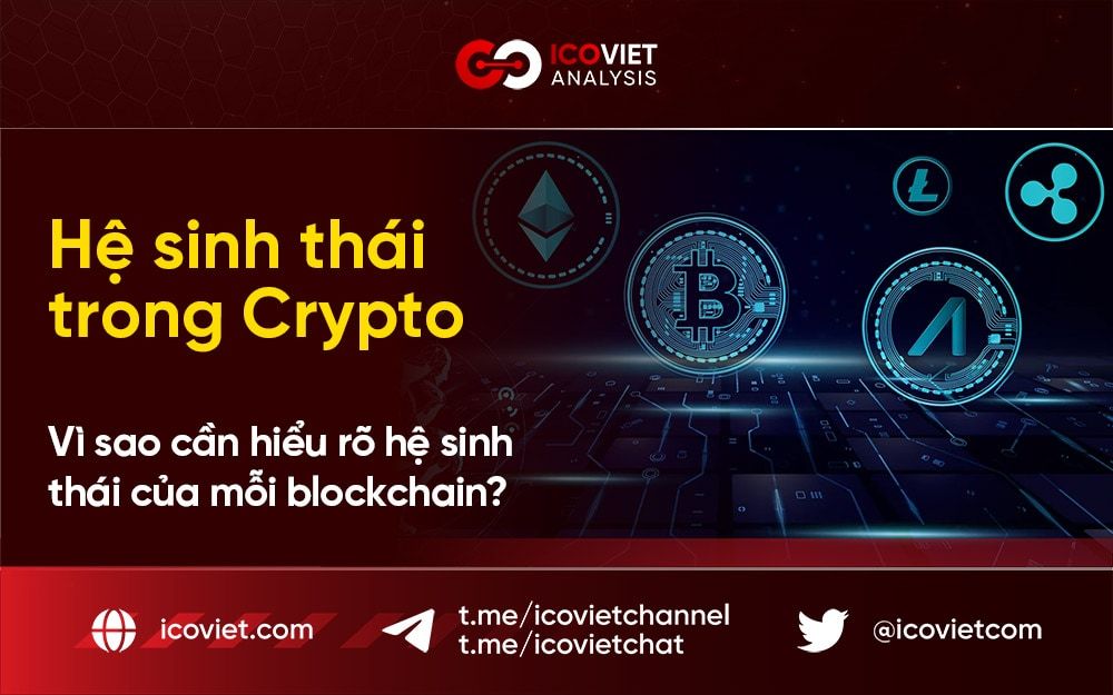 Hệ sinh thái trong Crypto – Vì sao cần hiểu rõ hệ sinh thái của mỗi blockchain?