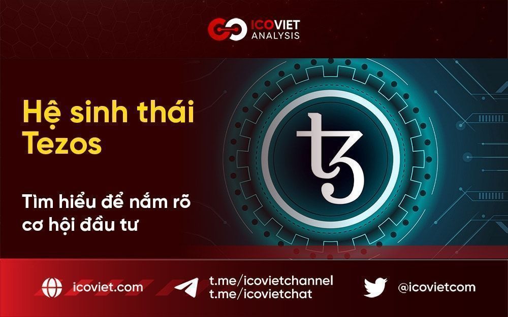 Hệ sinh thái Tezos – Tìm hiểu để nắm rõ cơ hội đầu tư