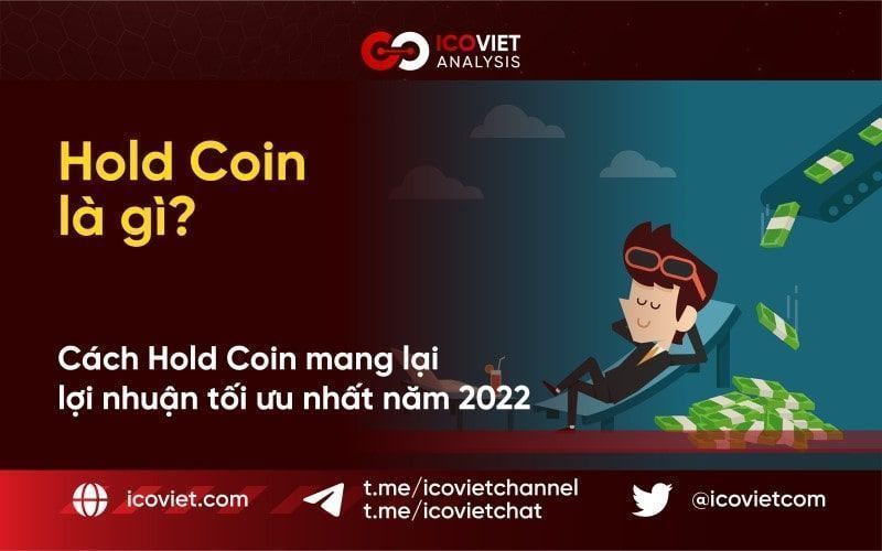 Hold Coin là gì? Cách hold coin hiệu quả để mang lại lợi nhuận tối ưu nhất năm 2022