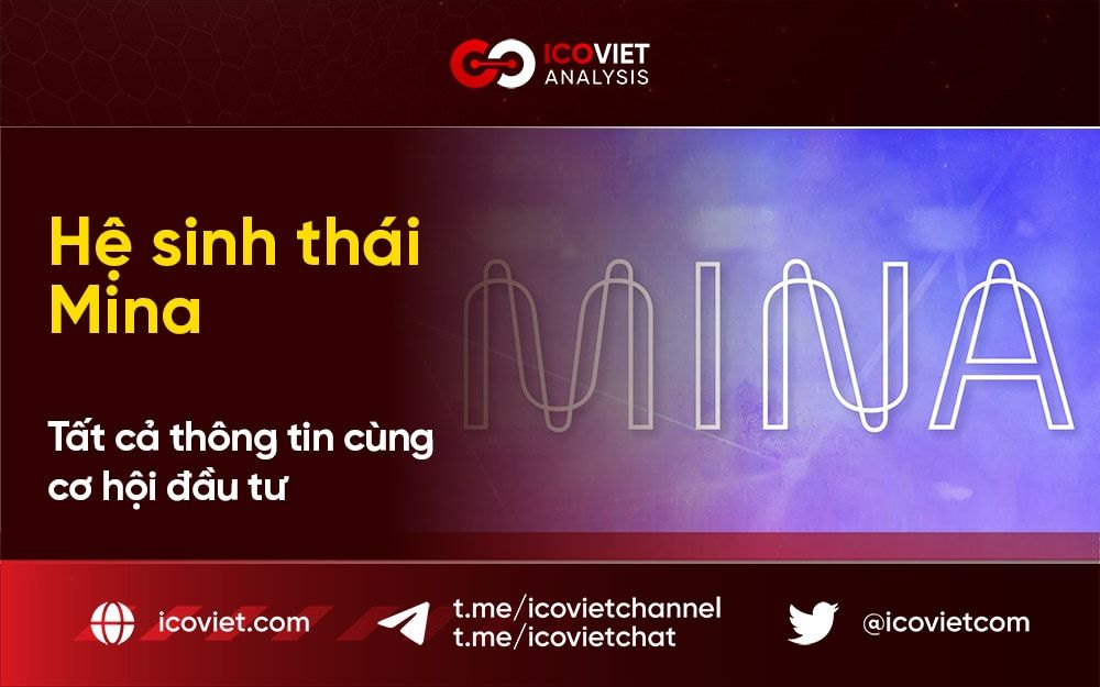 Hệ sinh thái Mina – Tất cả thông tin cùng cơ hội đầu tư