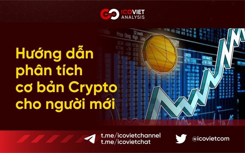 Hướng dẫn phân tích cơ bản tiền điện tử cho người mới bắt đầu