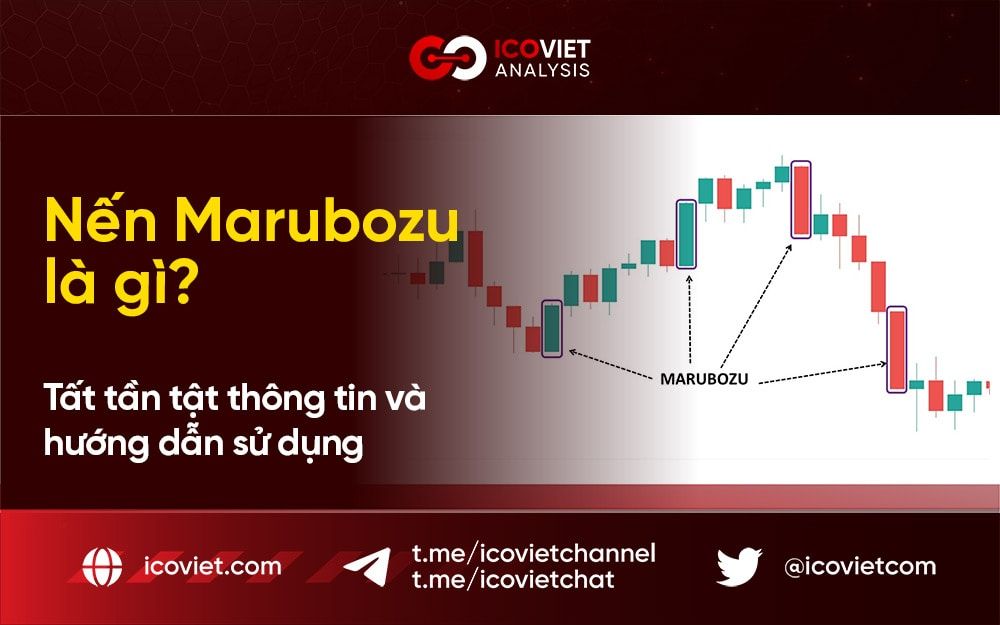 Nến Marubozu là gì? Tất tần tật thông tin và hướng dẫn sử dụng
