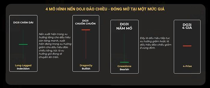 mo hinh nen dao chieu thuong gap 2