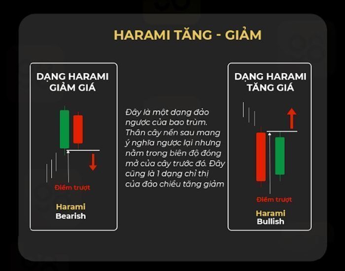 mo hinh nen dao chieu thuong gap 7