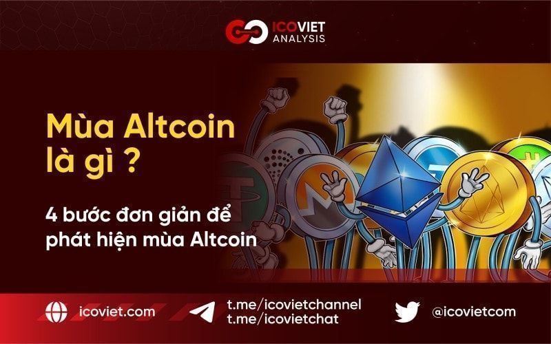 Mùa Altcoin là gì? 5 dấu hiệu để phát hiện mùa Altcoin