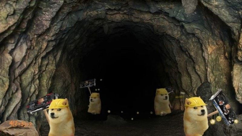  team mining doge