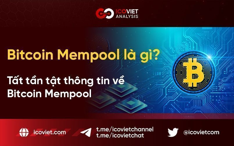Bitcoin Mempool là gì? Tất tần tật thông tin về Bitcoin Mempool