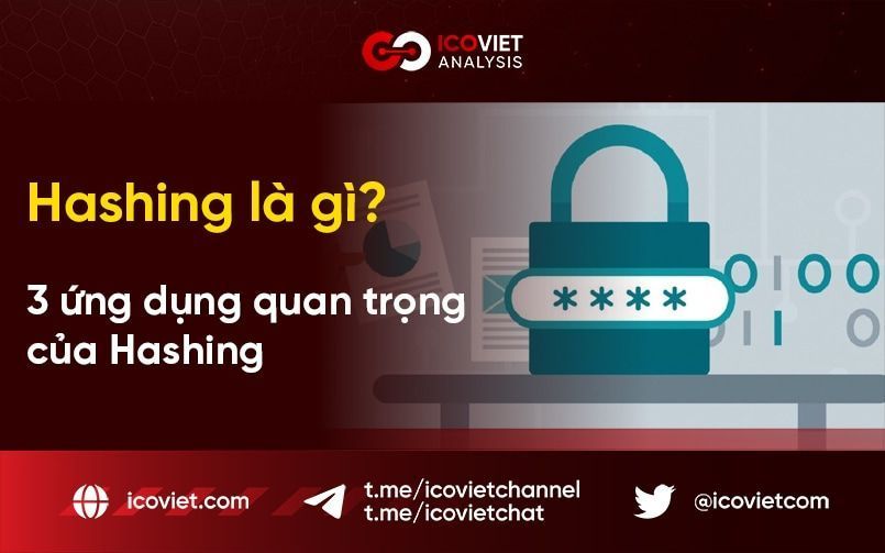 Hash là gì? 3 ứng dụng quan trọng của Hashing