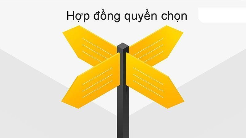 Hợp đồng quyền chọn là gì