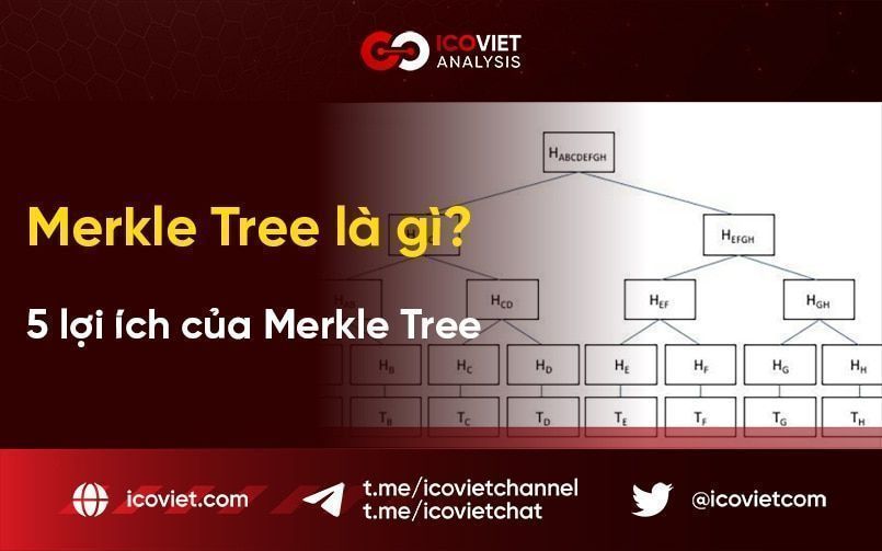 Merkle Tree là gì? 5 lợi ích của Merkle Tree