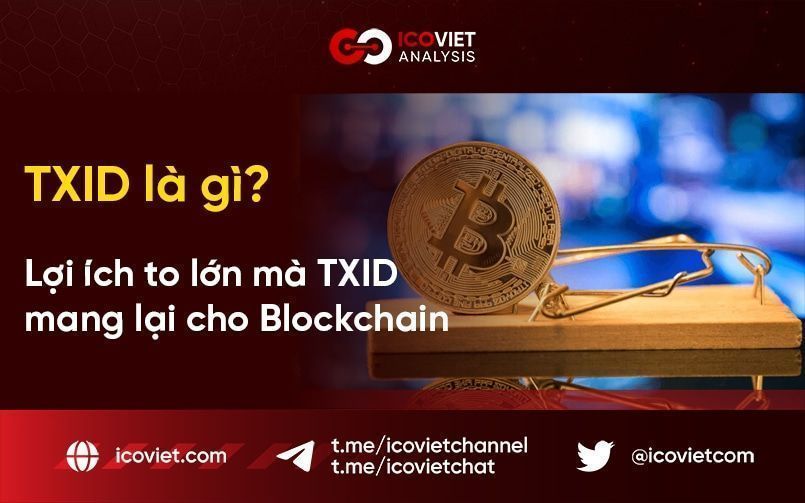 TXID là gì? Lợi ích to lớn mà TXID mang lại cho Blockchain