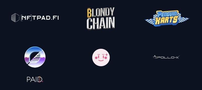 metachess partners and advisors