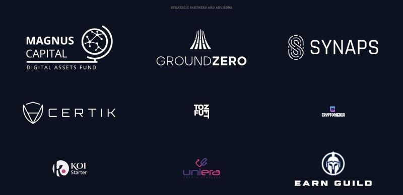 metachess partners and advisors