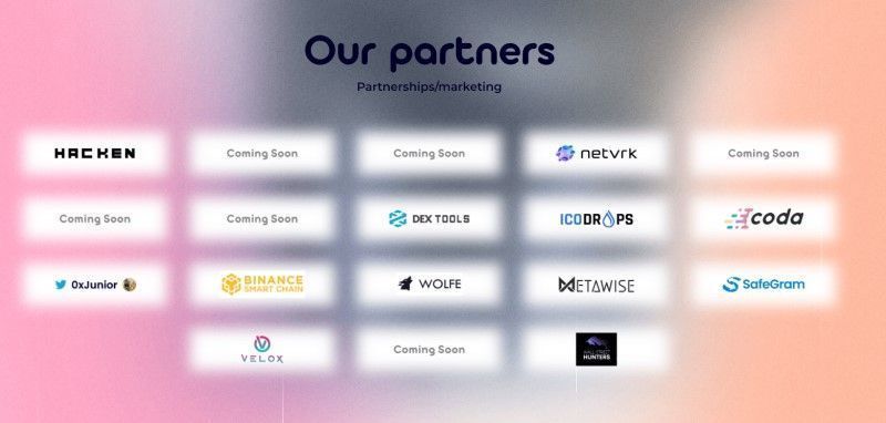  metacloud partners