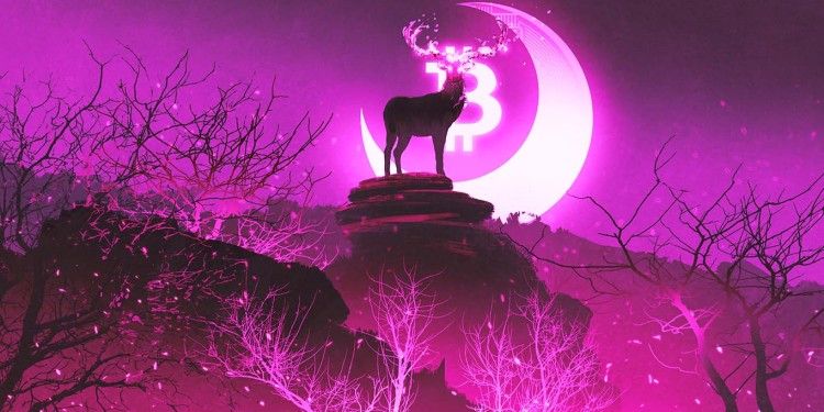 Nhà kinh tế học Alex Kruger phác thảo ‘Bức tranh xu hướng tăng giá’ cho Bitcoin