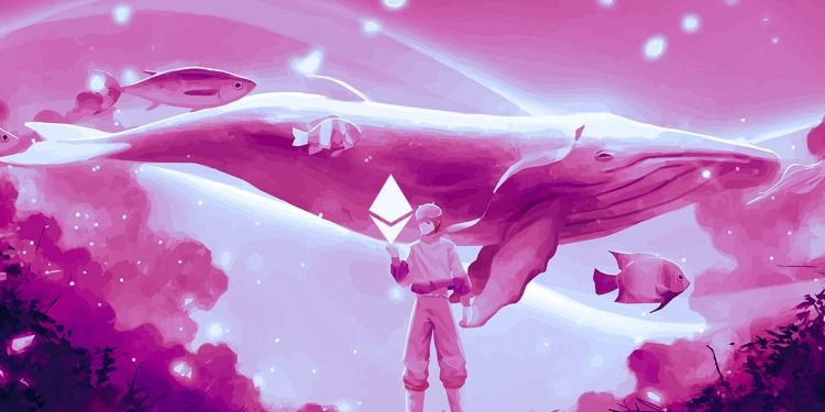 Cá voi Ethereum di chuyển hơn 357.000.000 đô la ETH khi thị trường tiền điện tử chuẩn bị cho tuần mới