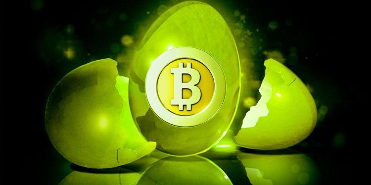 Nhà phân tích tiền điện tử hàng đầu vạch ra điều gì tiếp theo cho Bitcoin nếu BTC phá vỡ trên 26.000 đô la