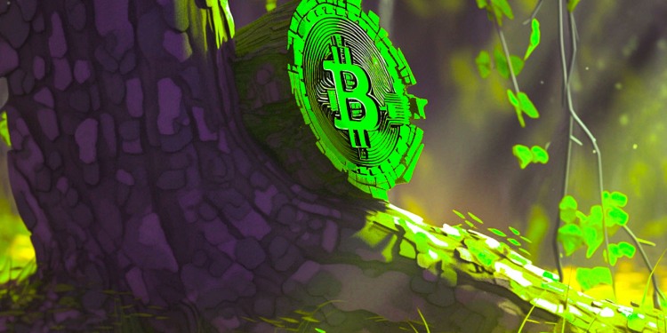 Giá Bitcoin (BTC) $532.000 trên đường chân trời, dự đoán PlanB của nhà phân tích lượng tử