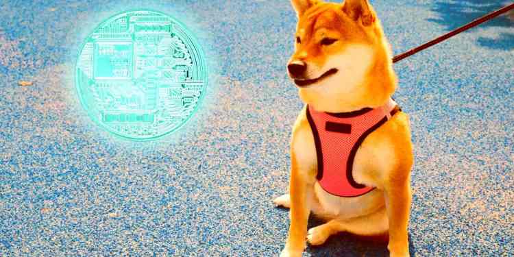 Dogecoin (DOGE) giảm 6% khi tên lửa thử nghiệm SpaceX của Elon Musk ra mắt