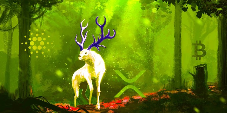 XRP, Cardano (ADA) và Polygon (MATIC) xem dòng chảy của tổ chức sau khi giảm giá