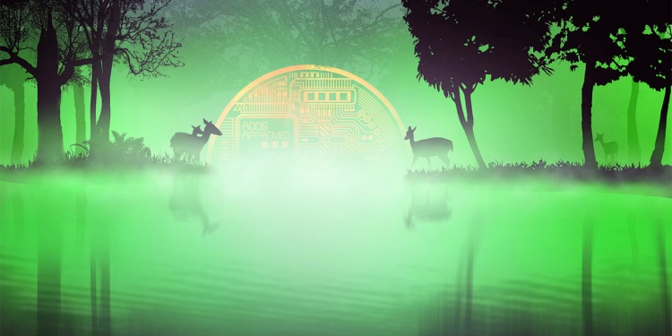 Thị trường tiền điện tử có vẻ tăng giá từ bây giờ