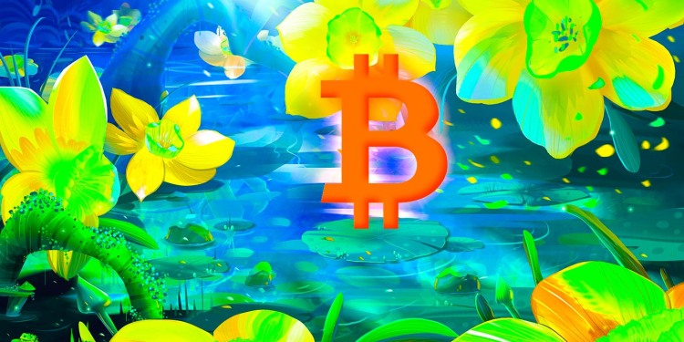 Nhà kinh tế Alex Krüger cho biết Bitcoin (BTC) đang trên đà đột phá