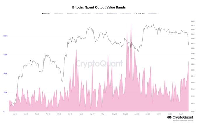 Cá voi BTC bán tháo Bitcoin