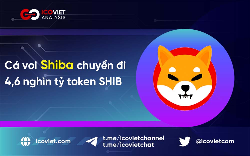 Tin tức Shiba Inu Cá voi chuyển đi 4,6 nghìn tỷ token SHIB khi Shibarium khởi động lại