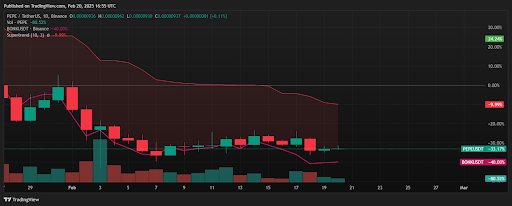 Tradingview (PEPE và Bonk so với USD)